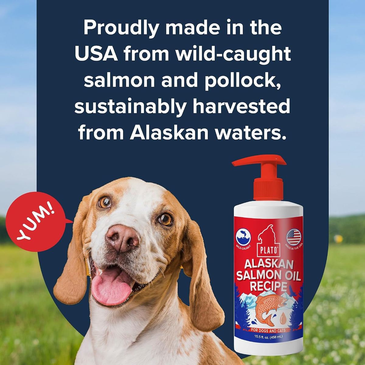 PLATO Wild Alaskan Salmon Oil Kibble Topper - Enhance Dog Food with Omega 3 & 6 Fatty Acids - For Healthy Skin & Coat - 946 ml - görsel 6