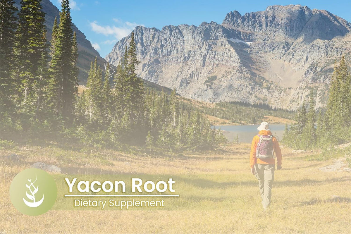 PURE ORIGINAL INGREDIENTS Yacon Root, (100 Capsules) Always Pure, No Additives Or Fillers, Lab Verified - görsel 5