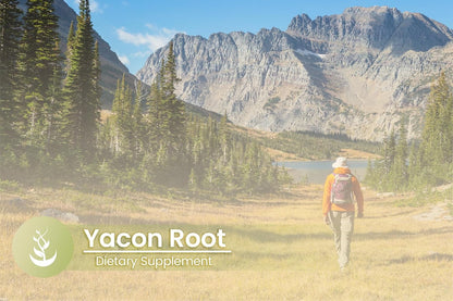 PURE ORIGINAL INGREDIENTS Yacon Root, (100 Capsules) Always Pure, No Additives Or Fillers, Lab Verified