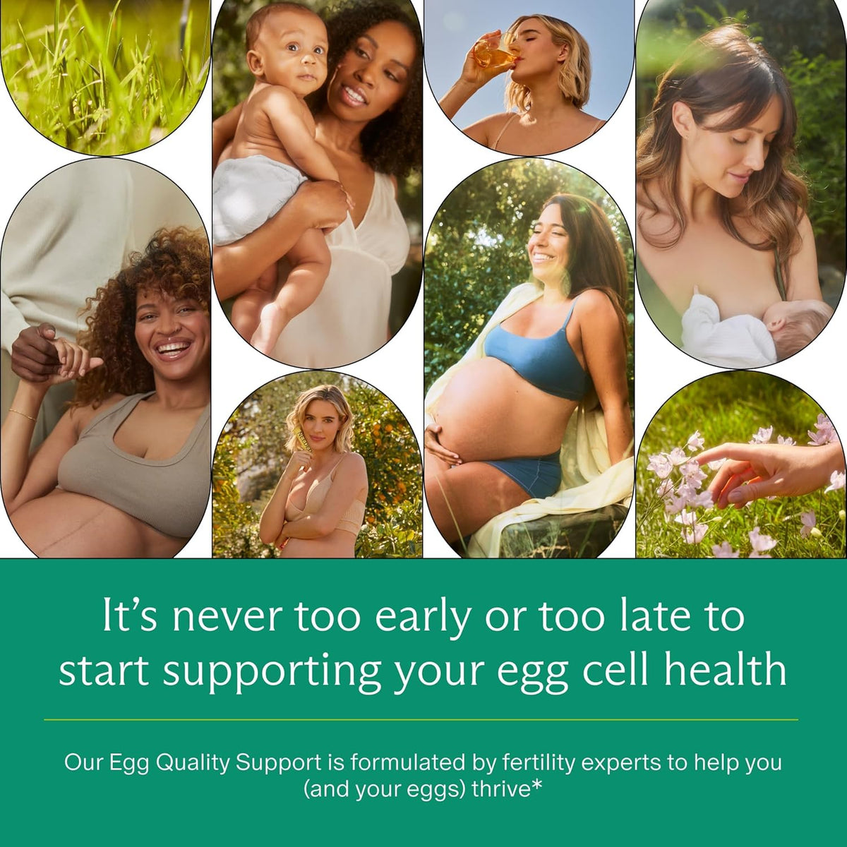 Needed. Egg Quality Support - Optimally Formulated Antioxidants Supplement for Egg Quality - Fertility Support - Fertility Supplement for Women - 60 Capsules - 30 Day Supply - görsel 4