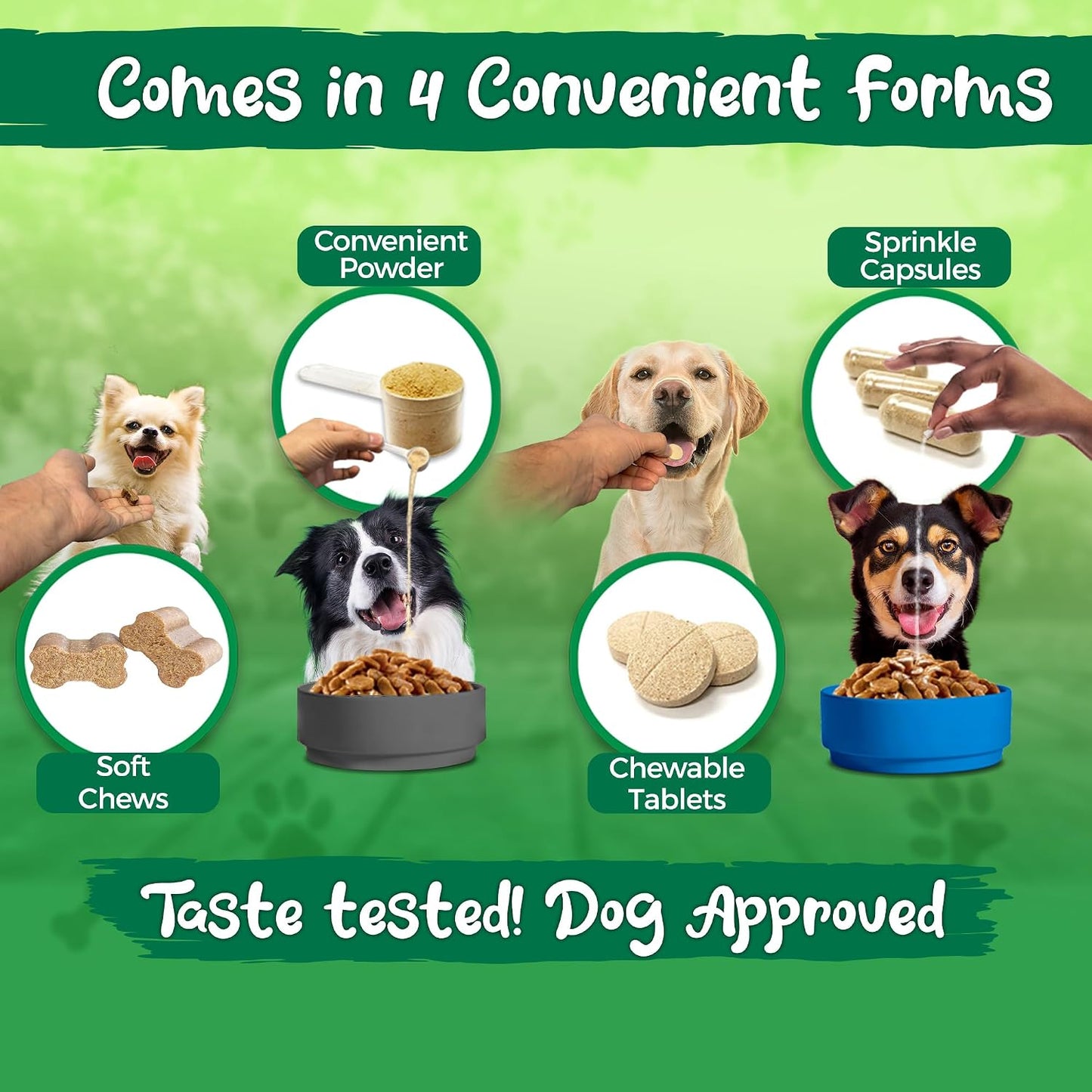 Vital Planet Flora Dog Probiotic Capsules for Dogs – 20 Billion Cultures & 10 Strains - görsel 7