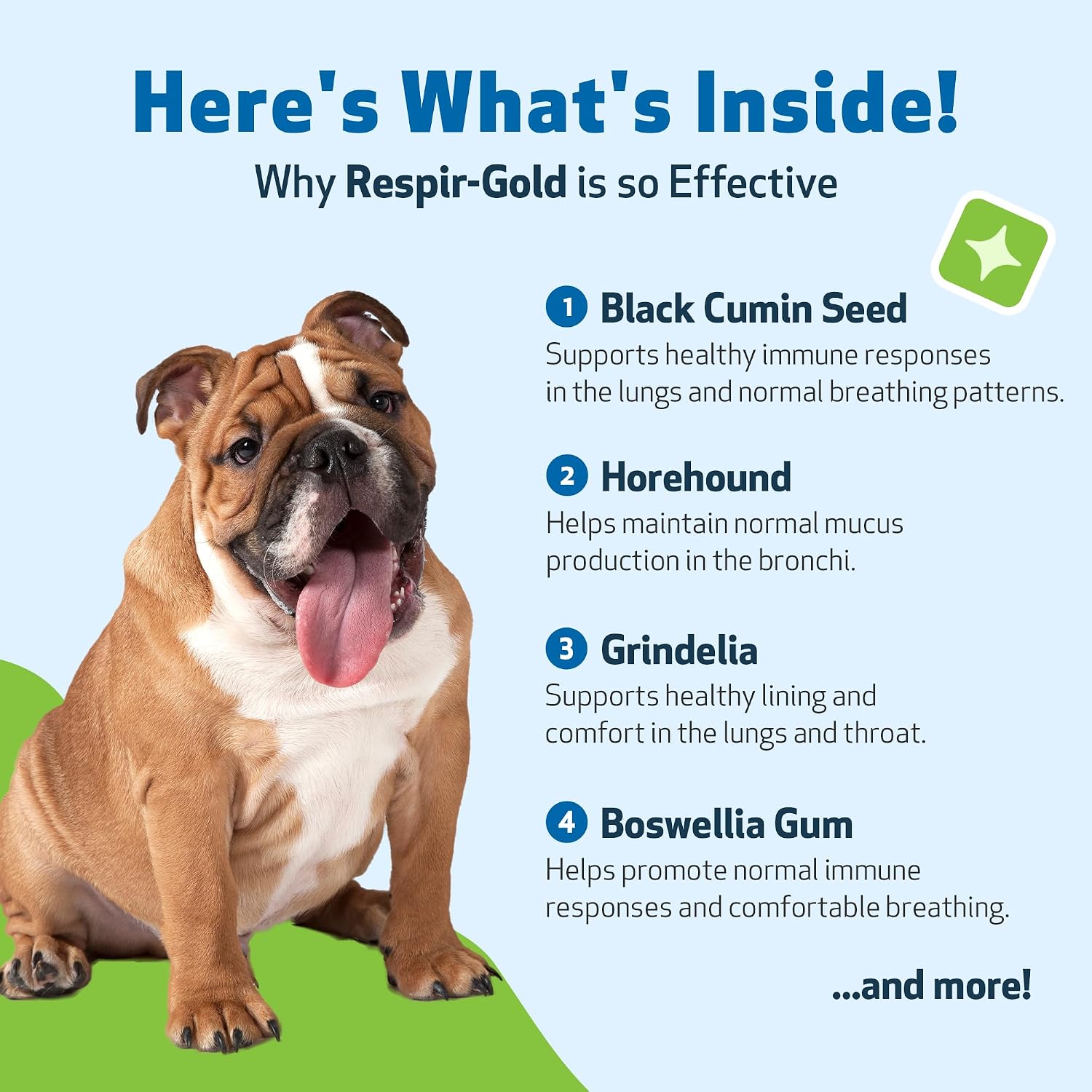 Pet Wellbeing Respir-Gold for Dogs - NASC Certified & Vet-Formulated Liquid Lower Respiratory & Lung Supplement with Black Cumin & Boswellia for Allergic Airway & Breathing, Natural Bacon Flavour, 118 ml - görsel 4