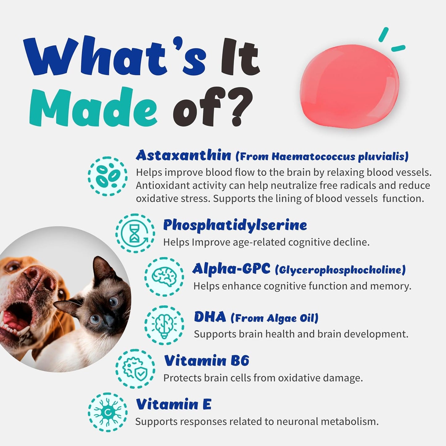 Recogry Liquid Cognitive Support for Dogs and Cats with Astaxanthin, Phosphatidylserine, Alpha GPC, DHA, Olive, Coconut, Sage, Turmeric, Ginger (90 ml) - görsel 2
