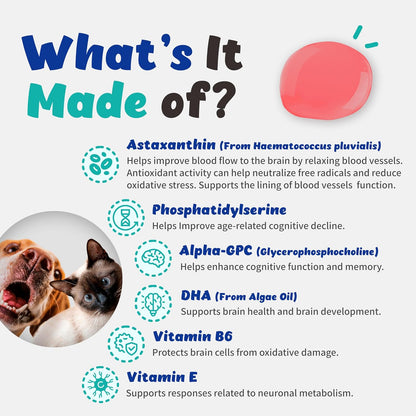 Recogry Liquid Cognitive Support for Dogs and Cats with Astaxanthin, Phosphatidylserine, Alpha GPC, DHA, Olive, Coconut, Sage, Turmeric, Ginger (90 ml)