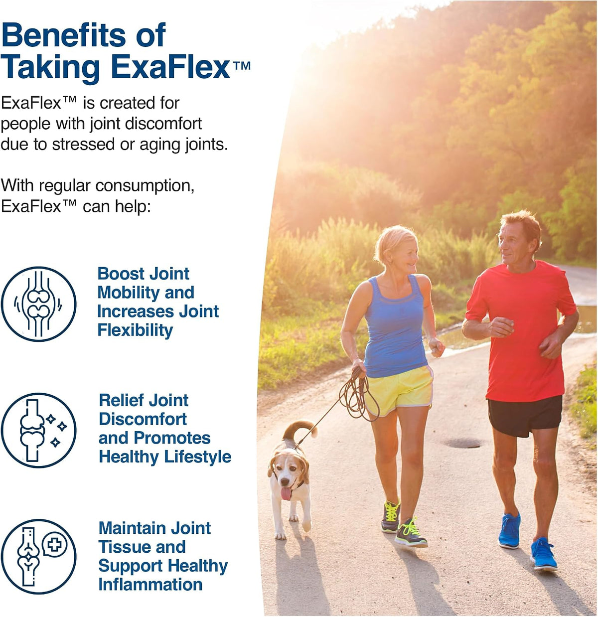 ExaFlex Glucosamine Chondroitin MSM, Bromelain Capsules - Joint Food Supplement with Boswellia, Turmeric & Quercetin (60 Capsules) - görsel 5
