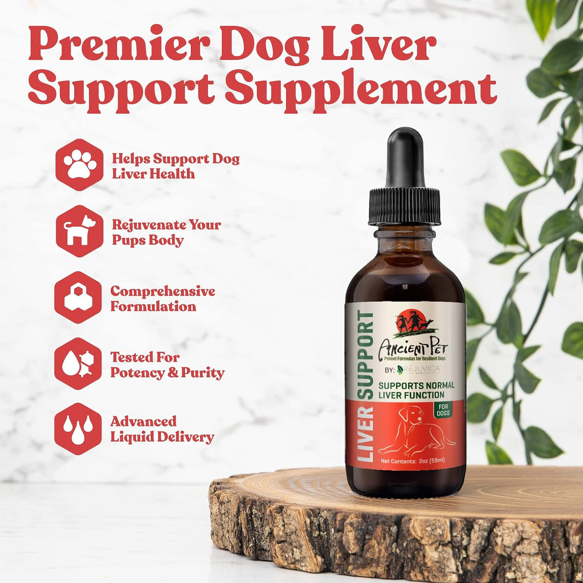 Ancient Pet Liver - Advanced Liver Support Supplement for Dogs - Liquid Delivery for Better Absorption - Milk Thistle, Dandelion, Artichoke & More! - görsel 1