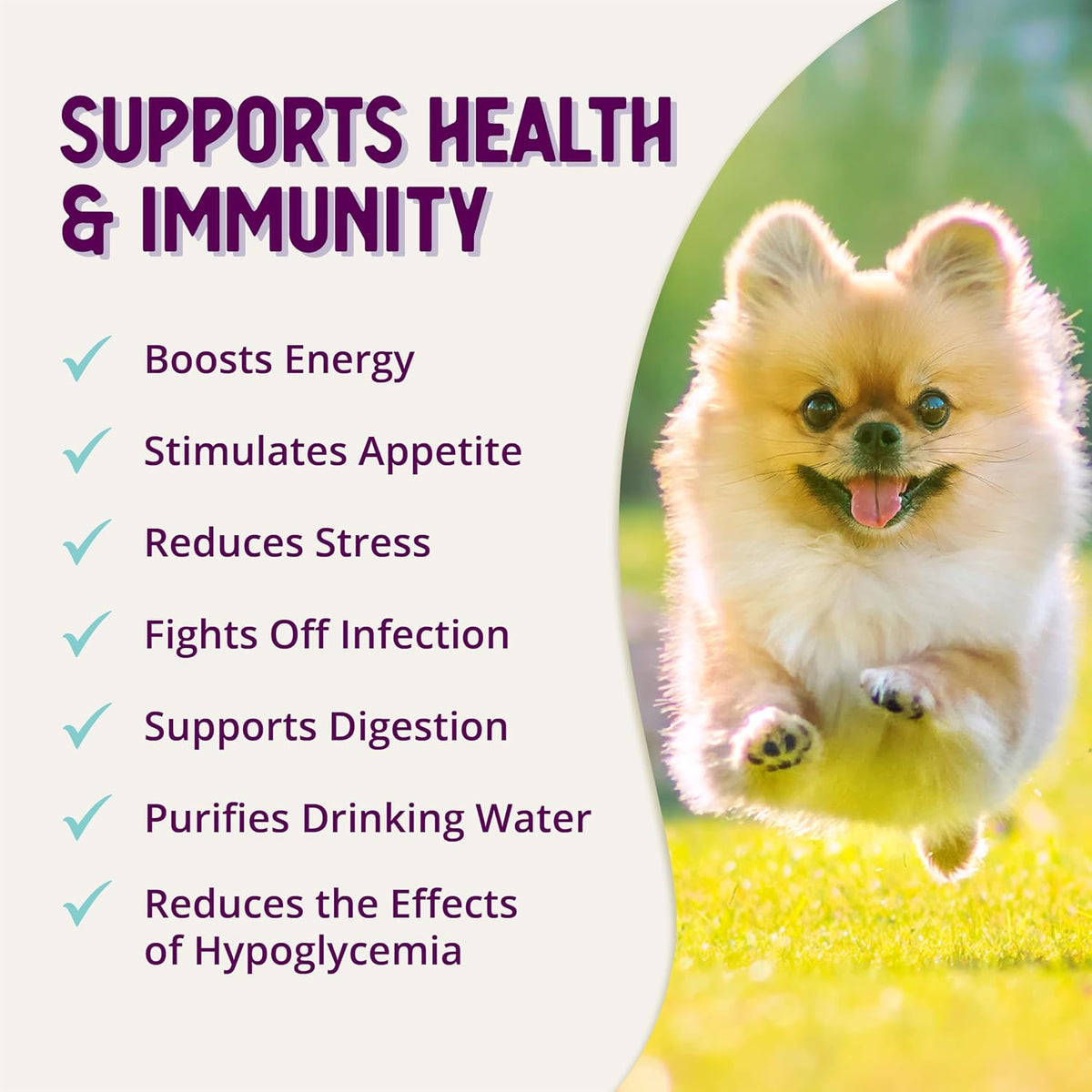 Health Extension Stress Relief Supplement for Dogs (237 ml) – Appetite & Energy Support with Vitamin B - görsel 7
