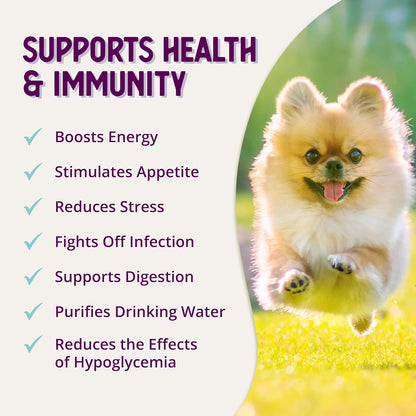 Health Extension Stress Relief Supplement for Dogs (237 ml) – Appetite & Energy Support with Vitamin B