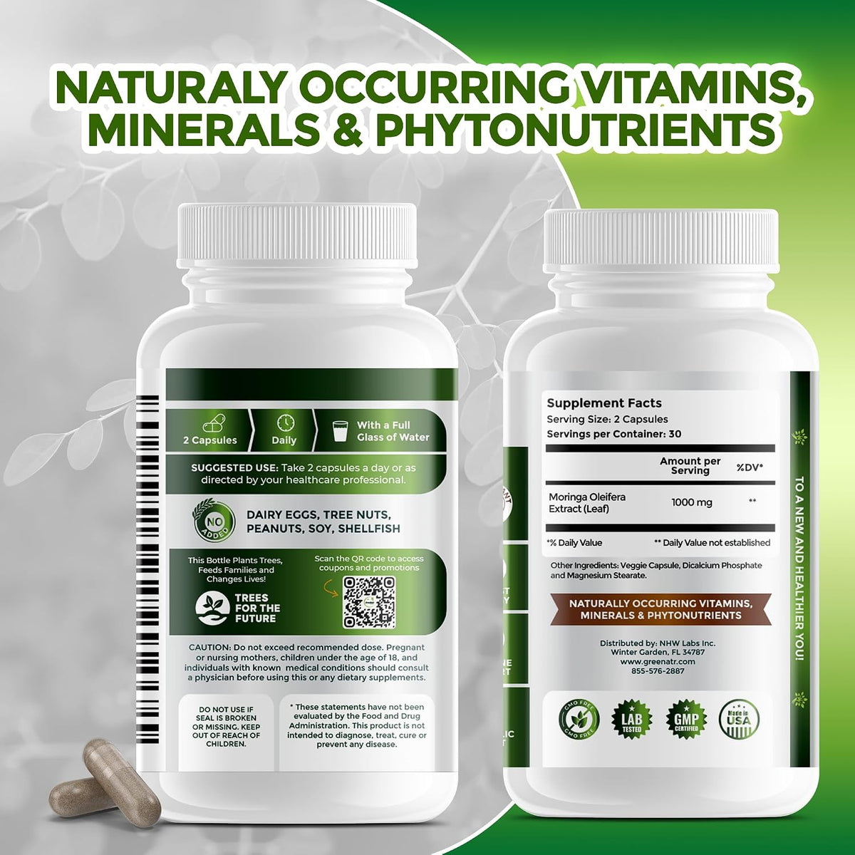 GreeNatr Pure Moringa Oleifera Leaf Extract Veggie Capsules, 1000 mg, 3 Bottles - görsel 9