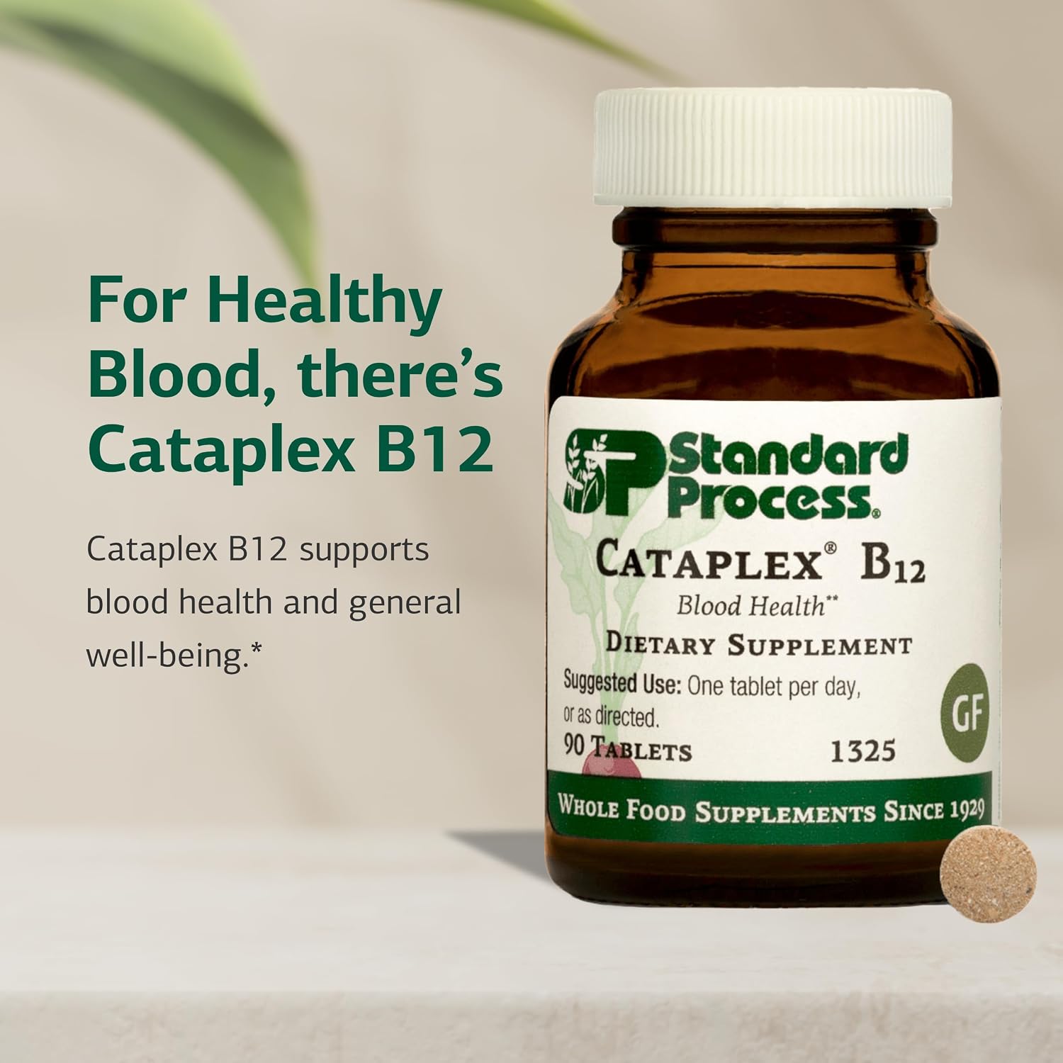 Standard Process Cataplex B12 - Vitamin B12 Food Supplement - 90 Tablets - görsel 3