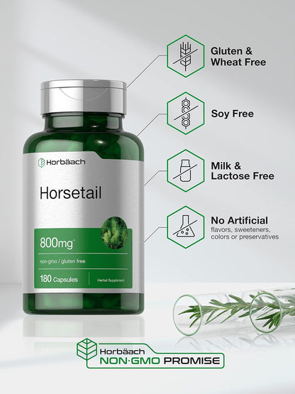 Horbäach Horsetail Supplement | 180 Capsules | Traditional Herbal Extract | Non-GMO & Gluten-free