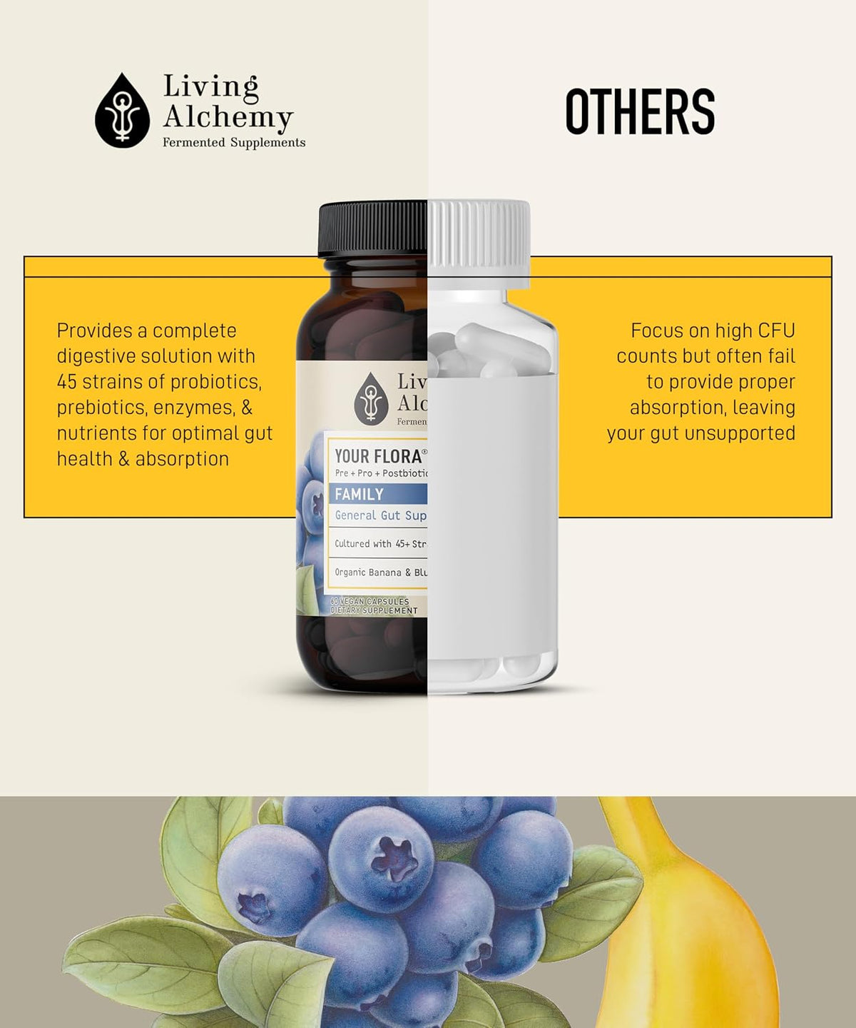 Your Flora Probiotic Family – Non-GM Probiotics with Fermented Soybean, Banana, and Blueberry for Digestive Health & Gut Wellness – Prebiotics, Postbiotics, Digestive Enzymes – Living Alchemy, 60 Capsules - görsel 10