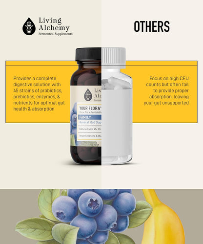 Your Flora Probiotic Family – Non-GM Probiotics with Fermented Soybean, Banana, and Blueberry for Digestive Health & Gut Wellness – Prebiotics, Postbiotics, Digestive Enzymes – Living Alchemy, 60 Capsules