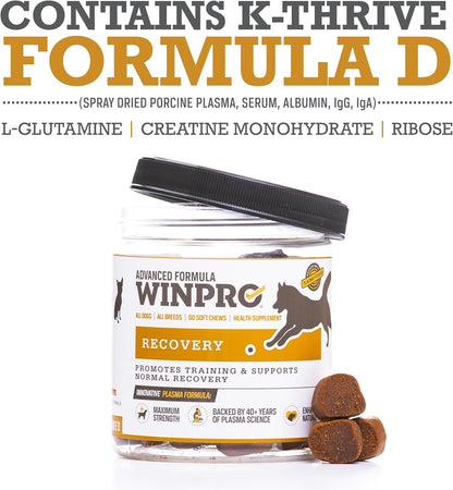 WINPRO Recovery Soft Chews for Dogs, Plasma-Powered Support for Healthy Inflammatory Response and Joint & Muscle Health, 60 Chews