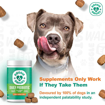 Doggie Dailies Probiotics for Dogs – Advanced Dog Probiotics with Prebiotics – Promotes Digestive Health – Supports Immune System (Pumpkin) 225 Soft Chews