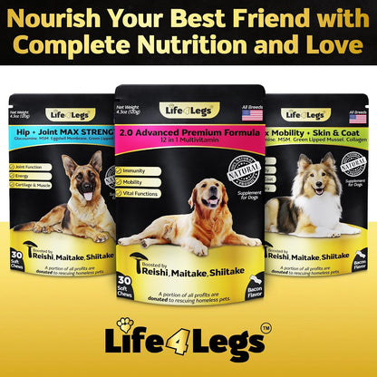 Life4Legs 12-in-1 Dog Multivitamin Soft Chews – Glucosamine, Hemp Oil, Probiotics