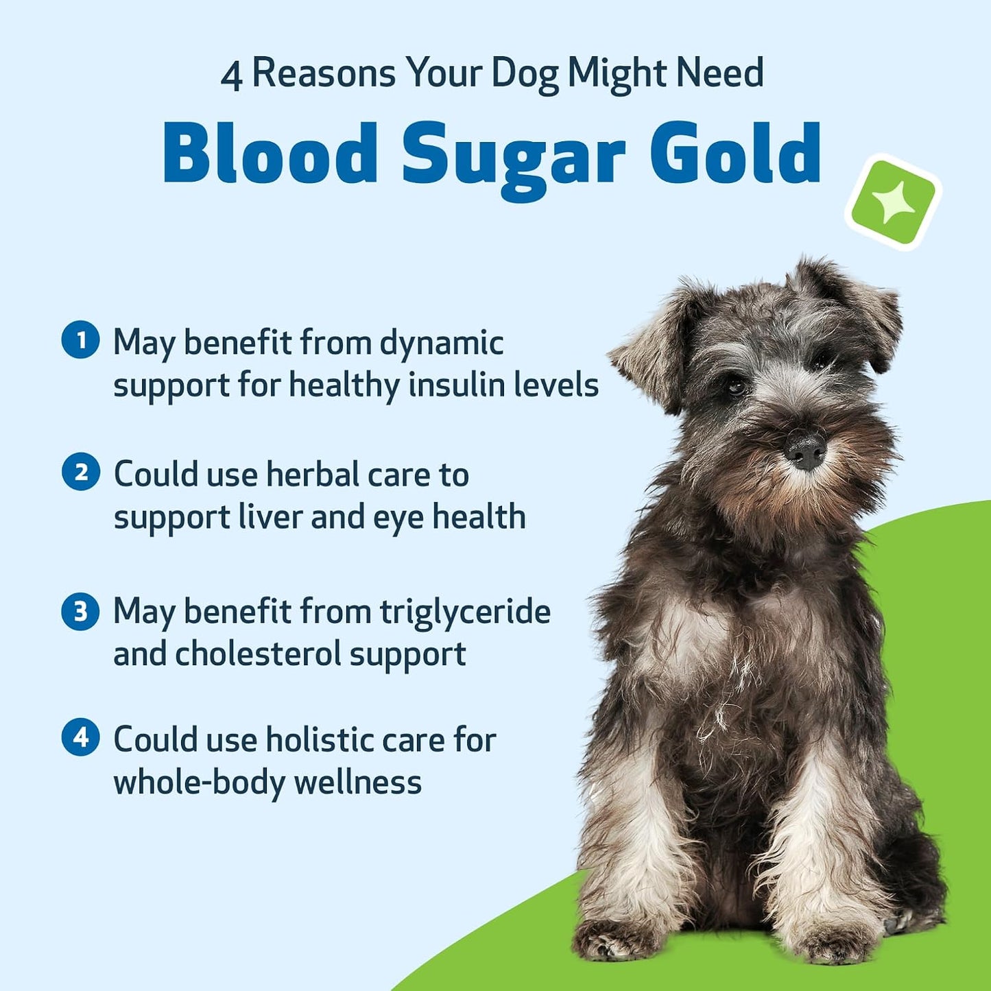 Pet Wellbeing Blood Sugar Gold for Dogs - Holistic Support for Healthy Blood Sugar Levels, Insulin Stabilisation & Normal Pancreatic Function - NASC Certified & Vet-Formulated - 118 ml Liquid - görsel 9