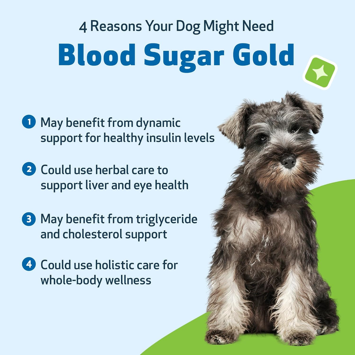 Pet Wellbeing Blood Sugar Gold for Dogs - Holistic Support for Healthy Blood Sugar Levels, Insulin Stabilisation & Normal Pancreatic Function - NASC Certified & Vet-Formulated - 118 ml Liquid - görsel 9