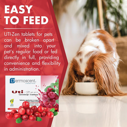 Dermoscent UTI-Zen Cranberry Tablets for Dogs and Cats Food Supplement for Bladder, Kidney & Urinary Tract Health Chicken Flavour - 30 Tablets