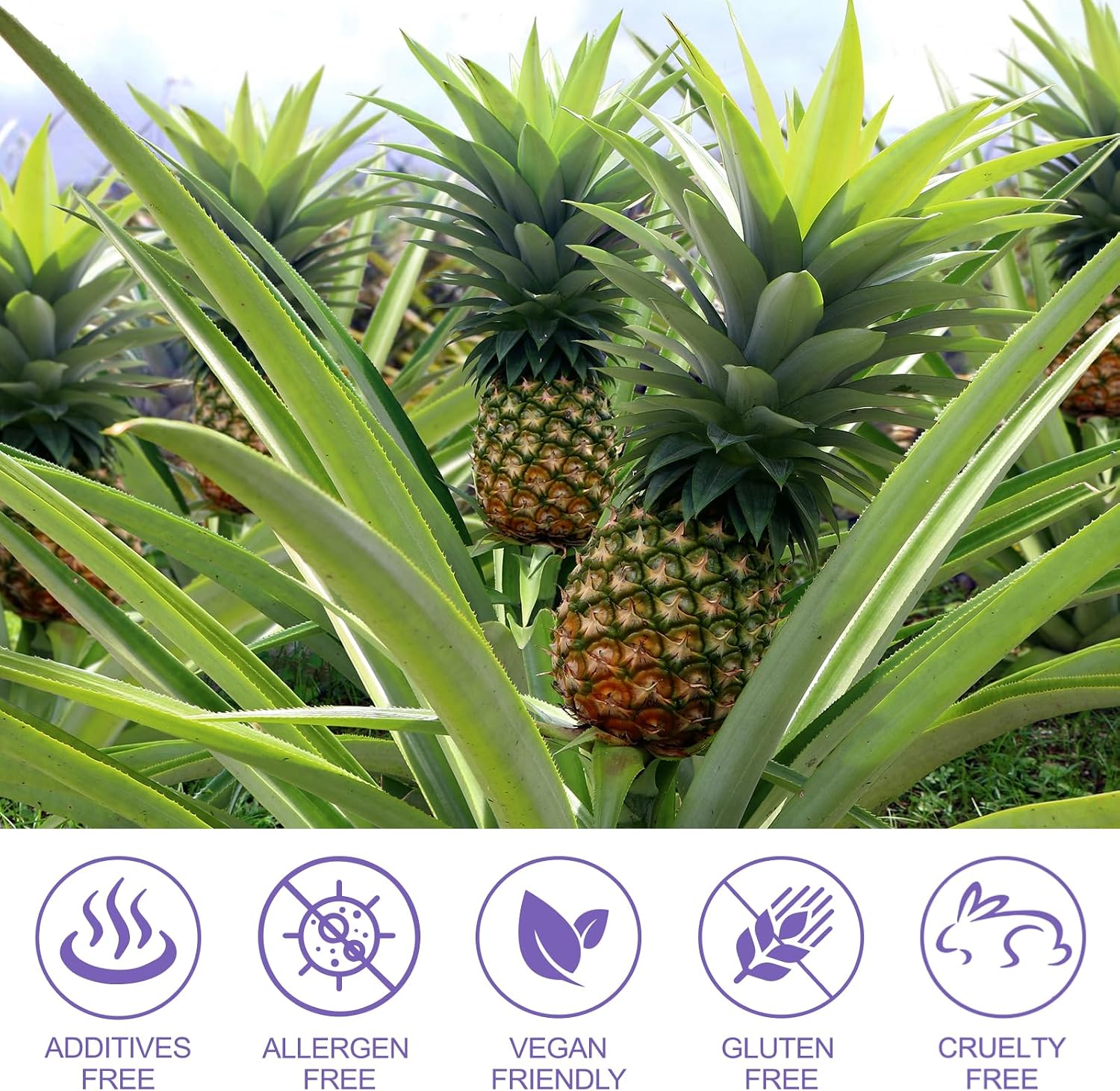Pineapple Gummies for Women's pH Balance – 120 Count – Vegan & Low Sugar - görsel 7