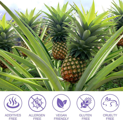 Pineapple Gummies for Women's pH Balance – 120 Count – Vegan & Low Sugar