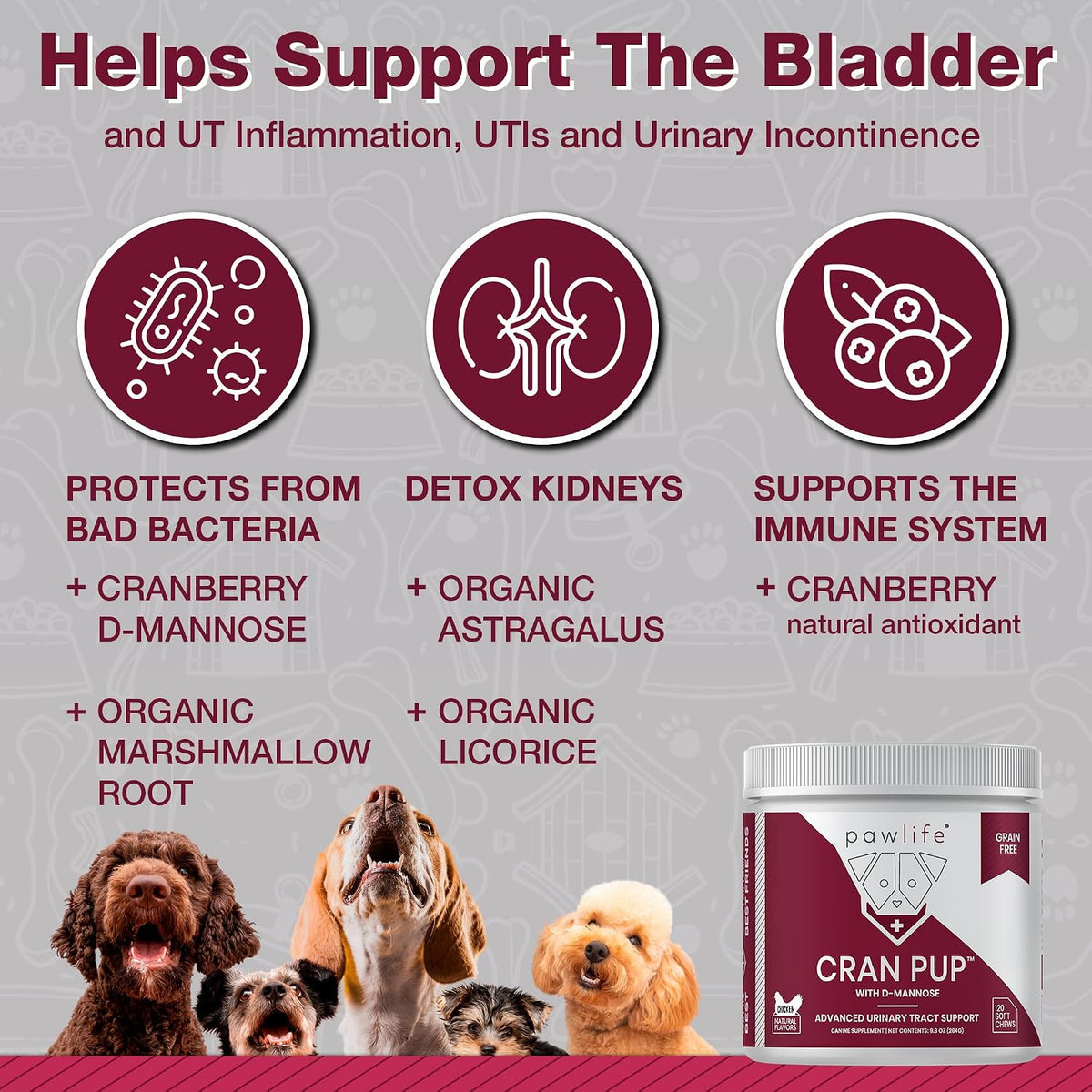 Pawlife Cranberry Supplements for Dogs | Urinary Tract and Bladder Support | D-Mannose and Antioxidants | 120 Veterinarian-Formulated Soft Chews - görsel 3
