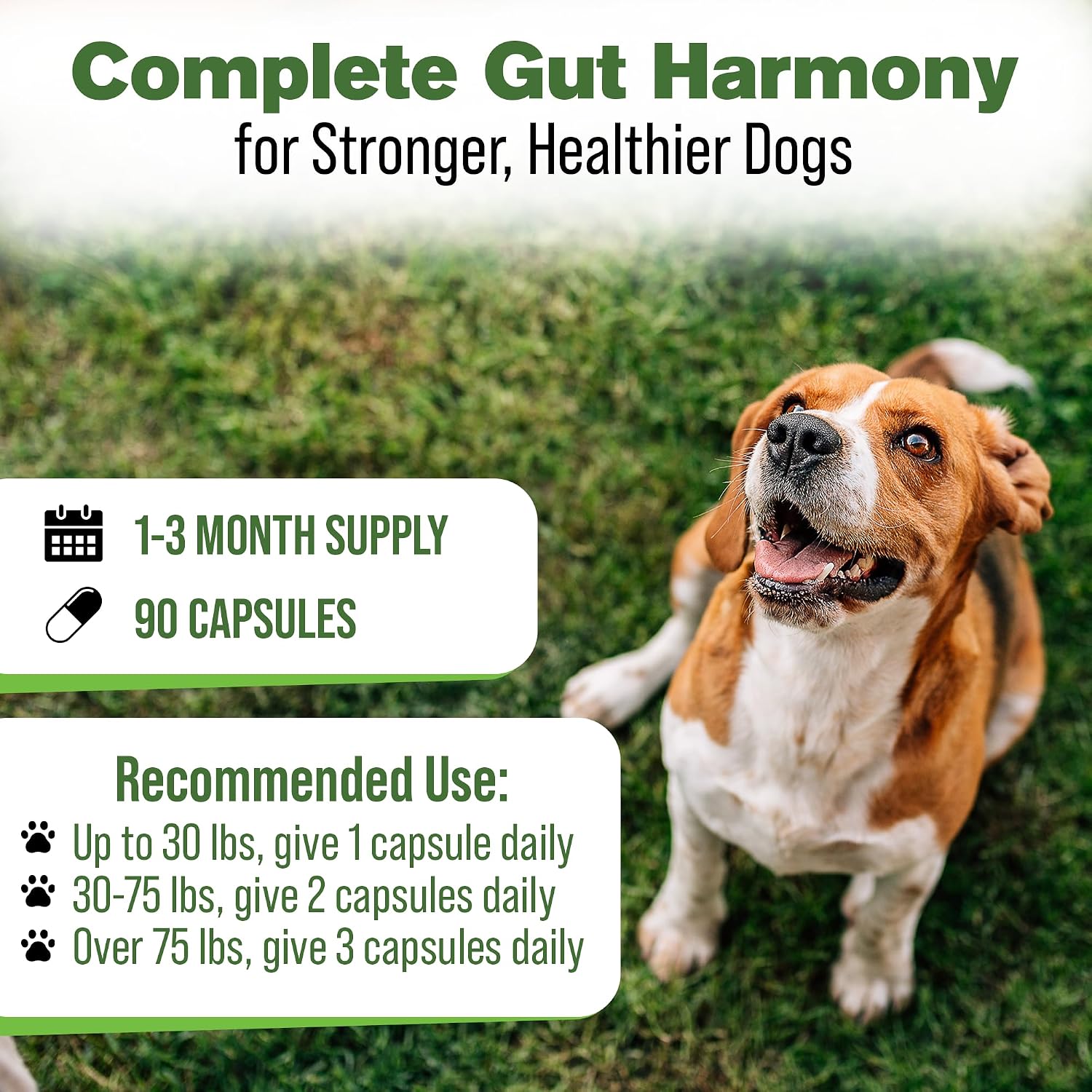 Silver Lining Herbs Dog Digestive Support – Natural Herbal Blend for Healthy Digestion & Gut Function – 90 Capsules - görsel 4