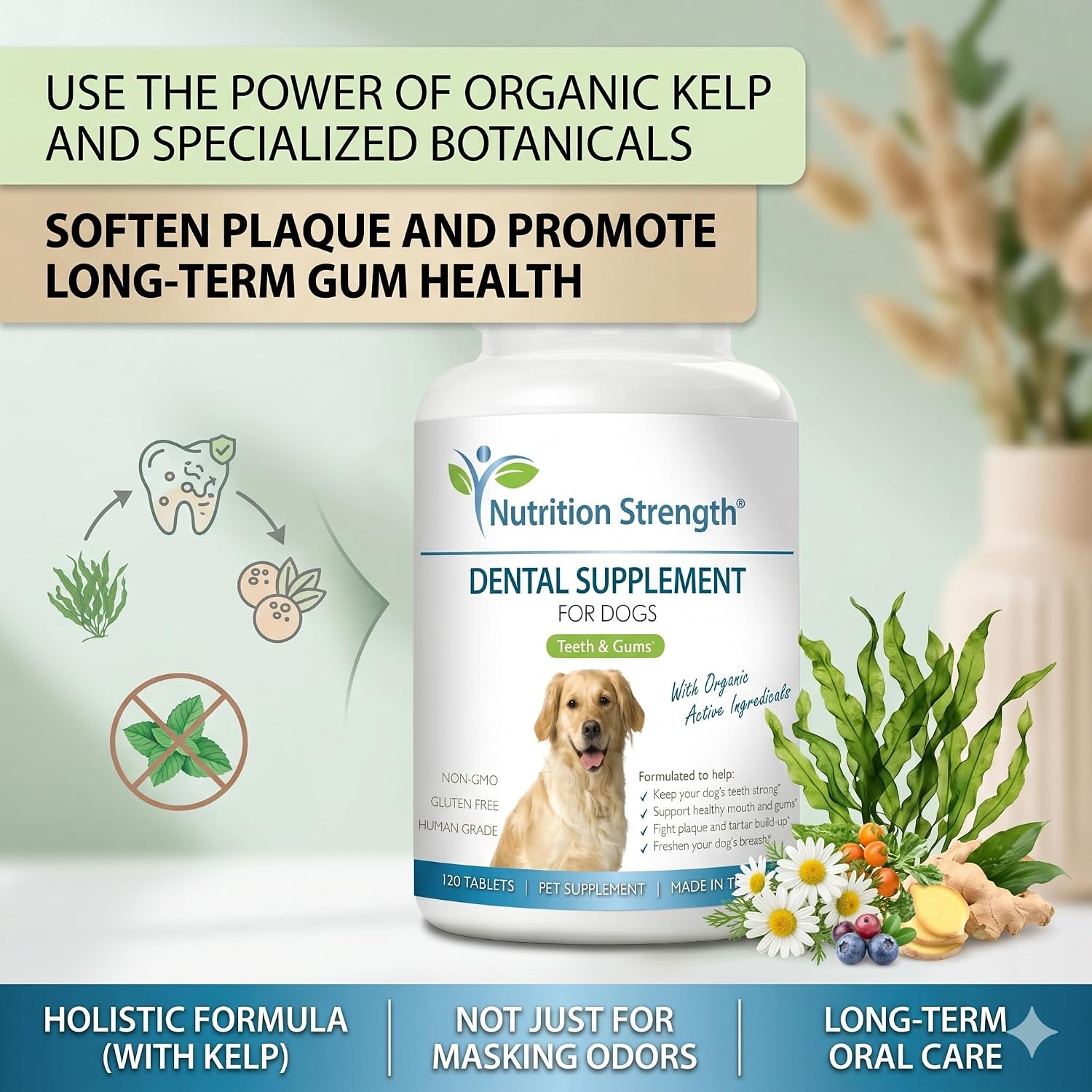 Nutrition Strength Dental Care for Dogs - Natural Plaque and Tartar Remover for Teeth - Breath Freshening Dog Supplement with Organic Kelp, Strawberry Leaf and Pumpkin Seed for Gum Health - 120 Tablets - görsel 3