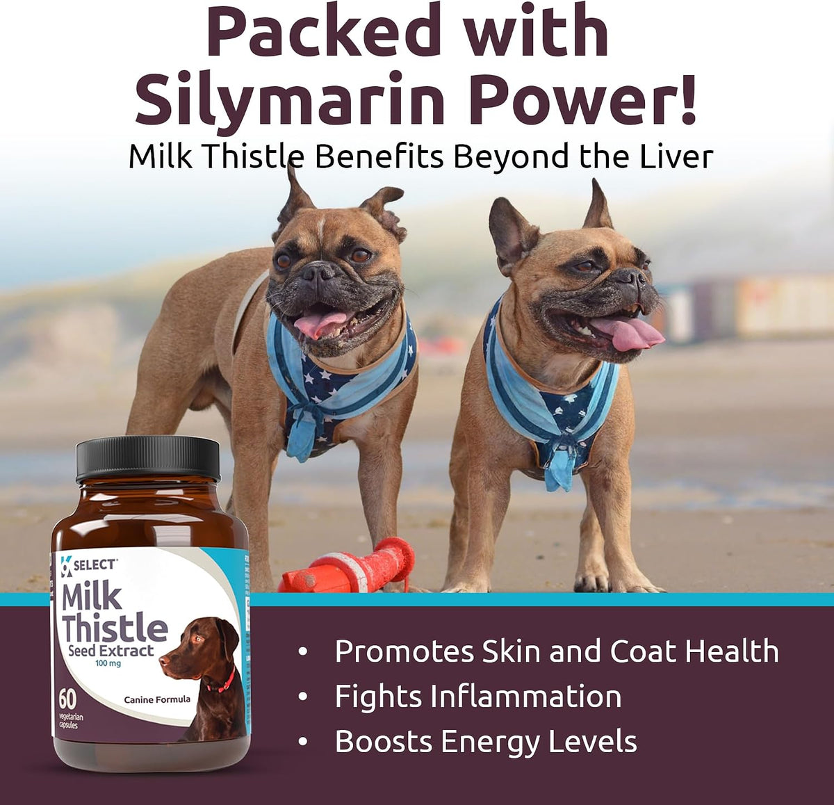 Milk Thistle for Dogs, 100mg – 60 Vegetable Capsules – Canine Liver Health Supplement - görsel 4