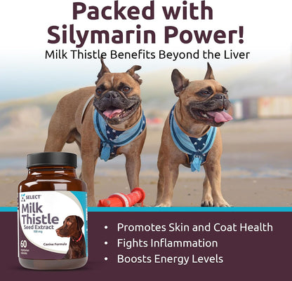 Milk Thistle for Dogs, 100mg – 60 Vegetable Capsules – Canine Liver Health Supplement