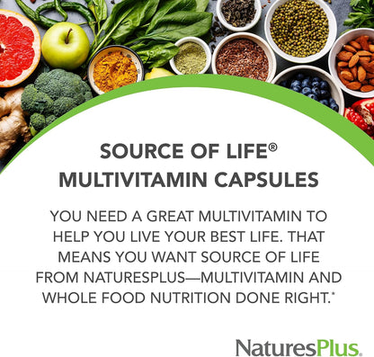 NaturesPlus Source of Life Multivitamin & Mineral Supplement – 180 Capsules