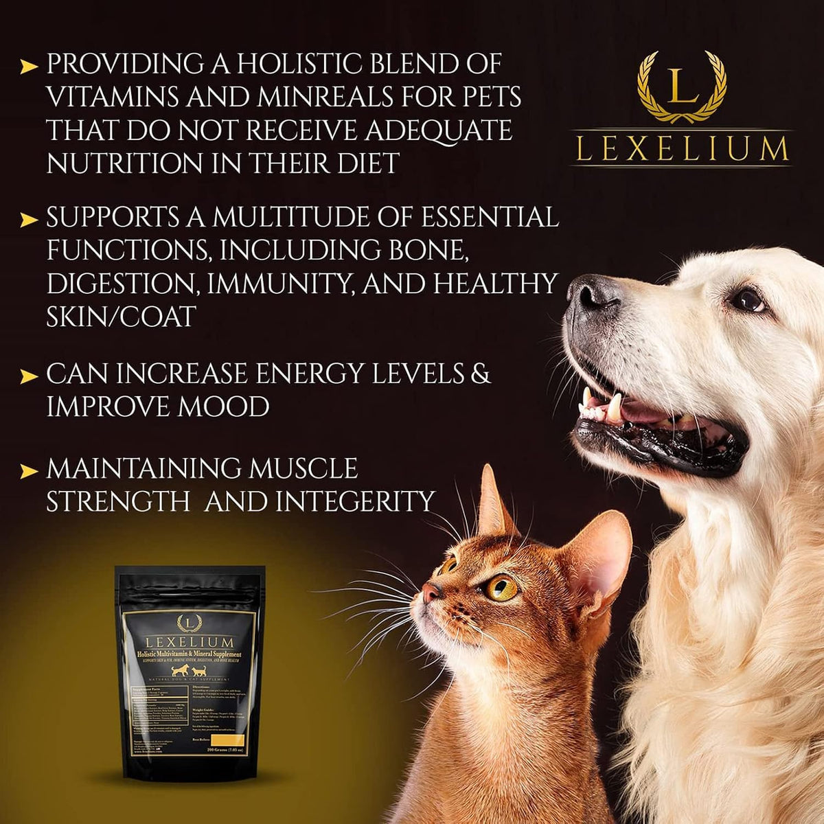 Holistic Multivitamin Supplement for Dogs and Cats – Complete 12-in-1 Plant-Based Vitamins and Minerals with Omega-3 Fish Oil – 200g Powder - görsel 2