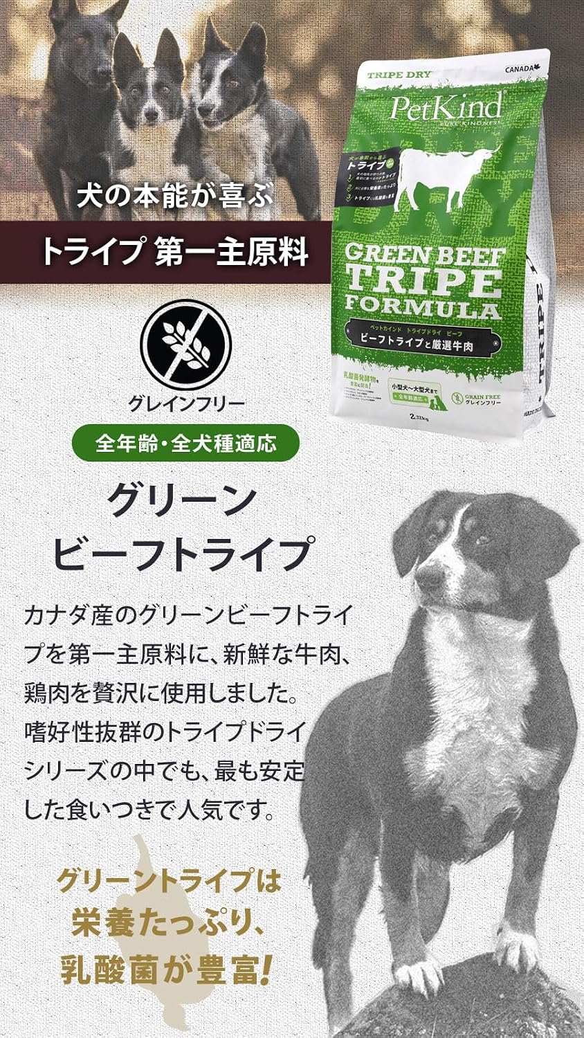 PetKind Tripe Dry Formula - Beef - 397 g - görsel 2