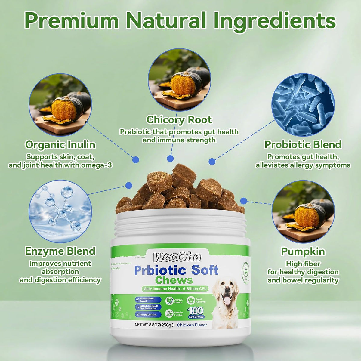 Woooha Probiotics for Dogs – 6 Billion CFU Prebiotics & Digestive Enzymes, 100 Chews - görsel 4