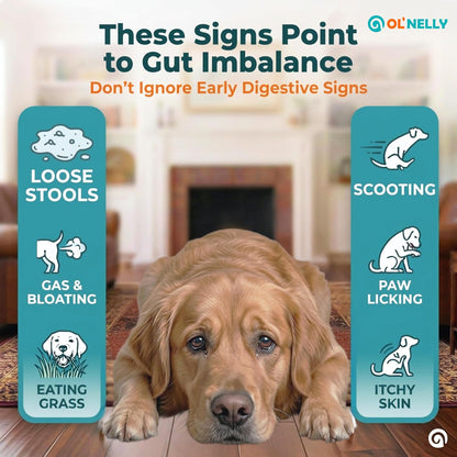 OL’ NELLY Dog Probiotic Paste for Dogs and Cats, 7.2 Billion CFU, Supports Digestive Health with 6-Strain Probiotics + Prebiotic, 14g