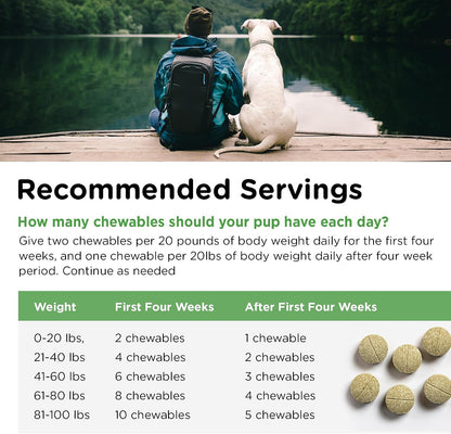 Nutri-Vet Grass Guard Chewables for Dogs, 150 Count