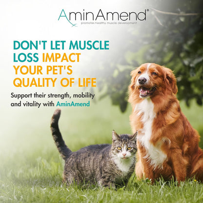 AminAmend Muscle Support for Small Dogs and Cats with CaHMB and Vitamin D3 – 30 Capsules