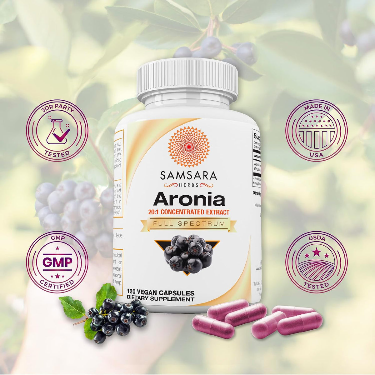 Aronia Berry 20:1 Extract (120 x 500mg Capsules) – Antioxidant, Flavonoids & Polyphenols Supplement – High ORAC – Native American Berry – Improved Wellbeing - görsel 2