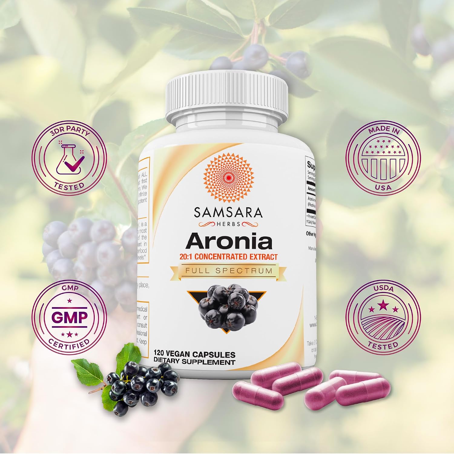 Aronia Berry 20:1 Extract (120 x 500mg Capsules) – Antioxidant, Flavonoids & Polyphenols Supplement – High ORAC – Native American Berry – Improved Wellbeing - görsel 2