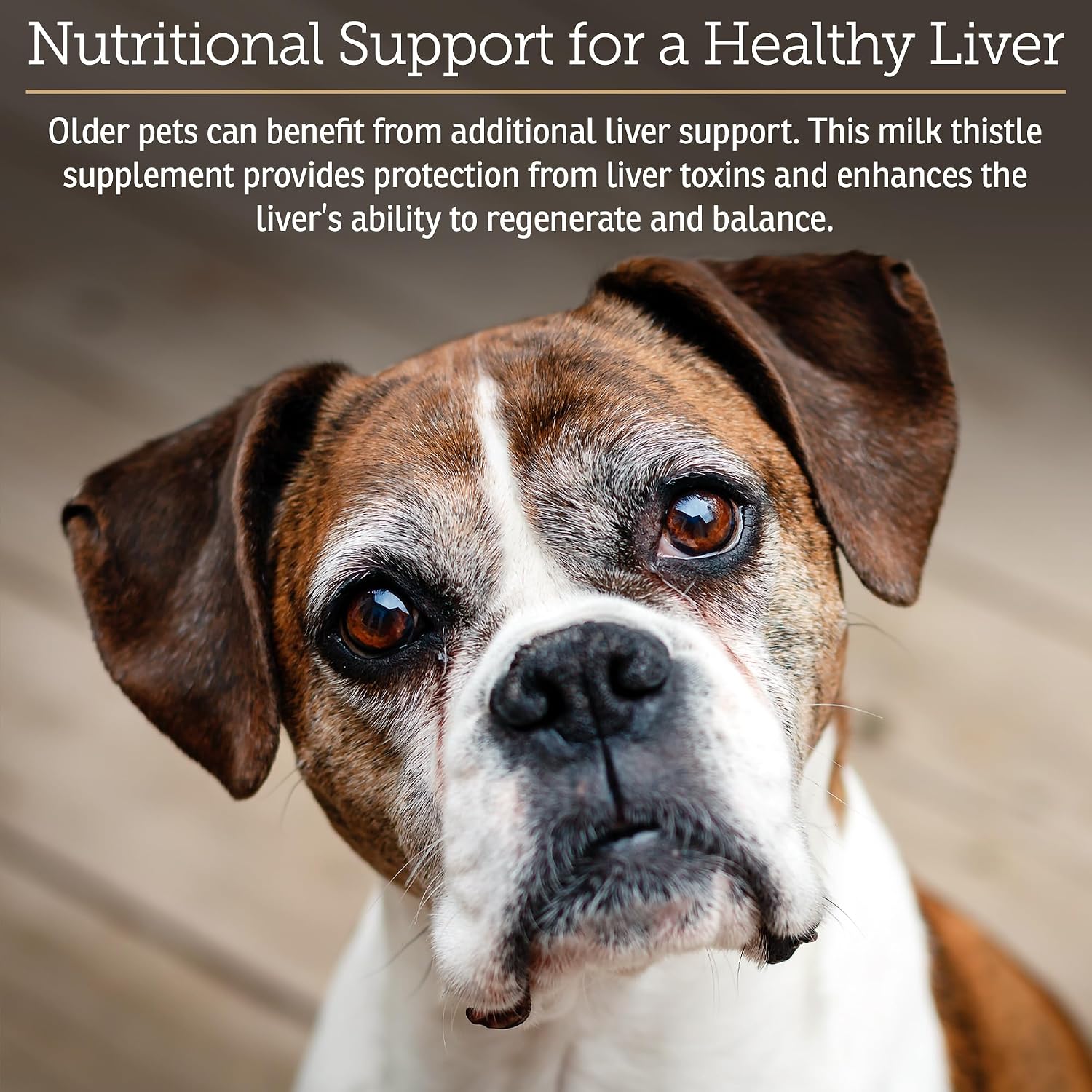 Rx Vitamins Liquid Hepato – Liver Support for Dogs with Milk Thistle & B Vitamins, Chicken Flavour (118 ml) - görsel 3