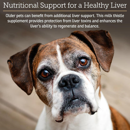 Rx Vitamins Liquid Hepato – Liver Support for Dogs with Milk Thistle & B Vitamins, Chicken Flavour (118 ml)