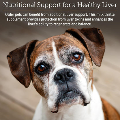 Rx Vitamins Hepato Support for Dogs & Cats – Liver Support with Milk Thistle – 90 Capsules