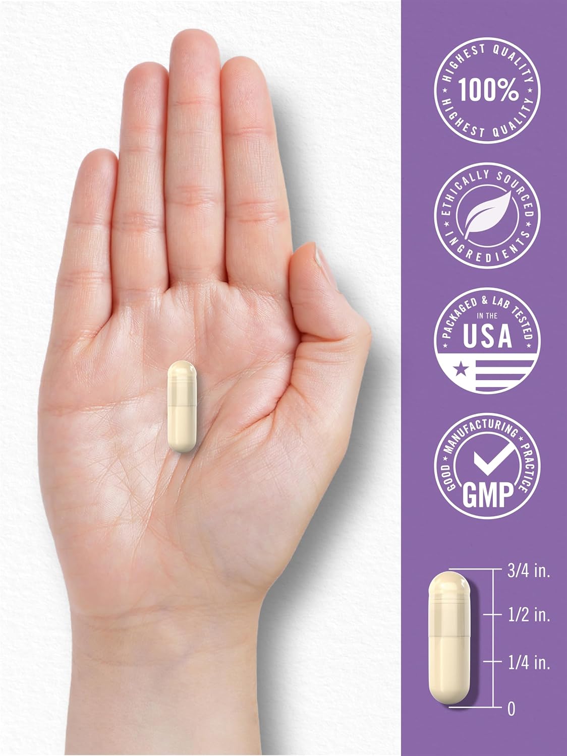 Carlyle Saccharomyces Boulardii Probiotics & Prebiotics | 10 Billion CFUs | 200 Capsules | Non-GMO, Gluten-free - görsel 7