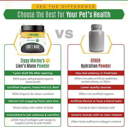 ZMA PETS Organic Lion's Mane Mushroom Powder for Dogs and Cats – Cognitive Support, USDA Organic, 45 Servings