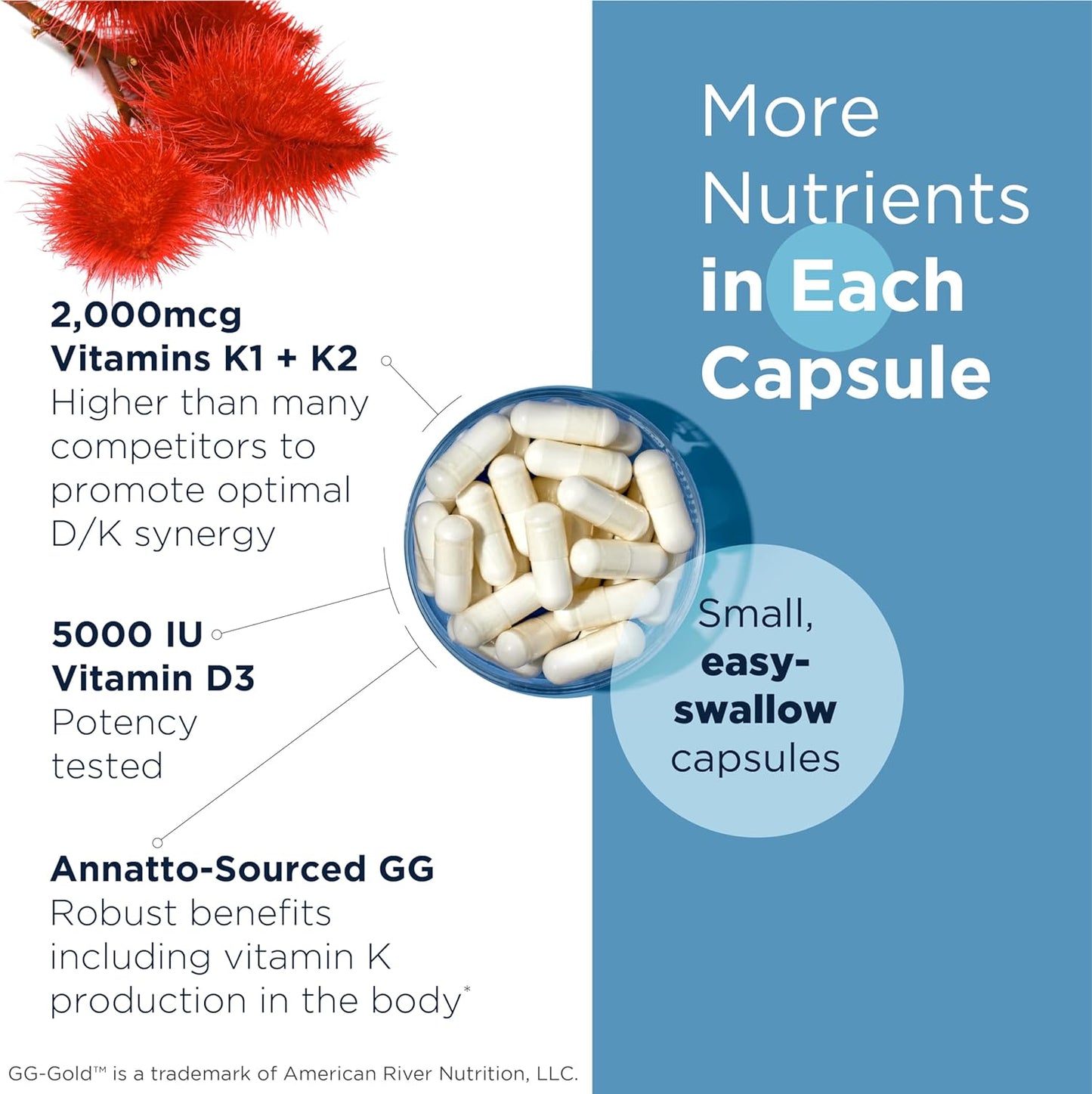 Designs for Health Vitamin D Supreme - Vitamin D3 5000 IU with Vitamin K2 MK-4, K1, and GG - Bone and Immune Support (60 Capsules) - görsel 3