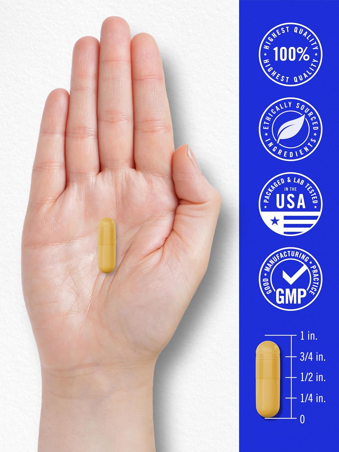 Carlyle B-100 Complex - High Potency B-Vitamin Supplement with B1, B2, B3, B6, B12, Biotin, Folic Acid & Inositol - 250 Vegetarian Capsules - görsel 7