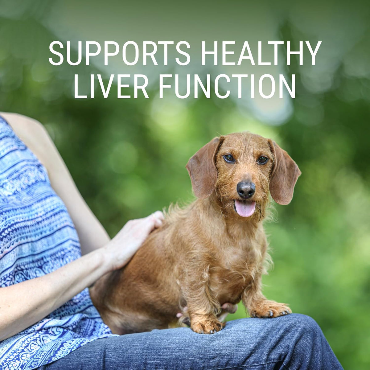 Nutramax Laboratories Denosyl for Dogs – Liver and Brain Health Supplement with S-adenosylmethionine (SAMe), 30 Count - görsel 2