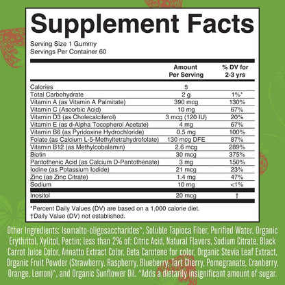 MARYRUTH'S Sugar Free Vitamin Gummies for Kids Age 2+ - Multivitamin with Vitamin C, D3, Zinc - 60 Count