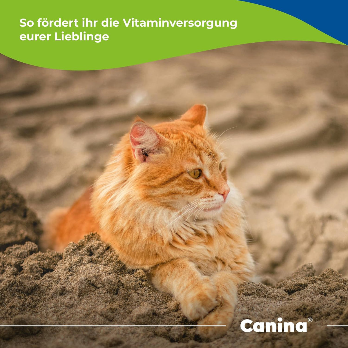Canina Canivita 250ml - görsel 2