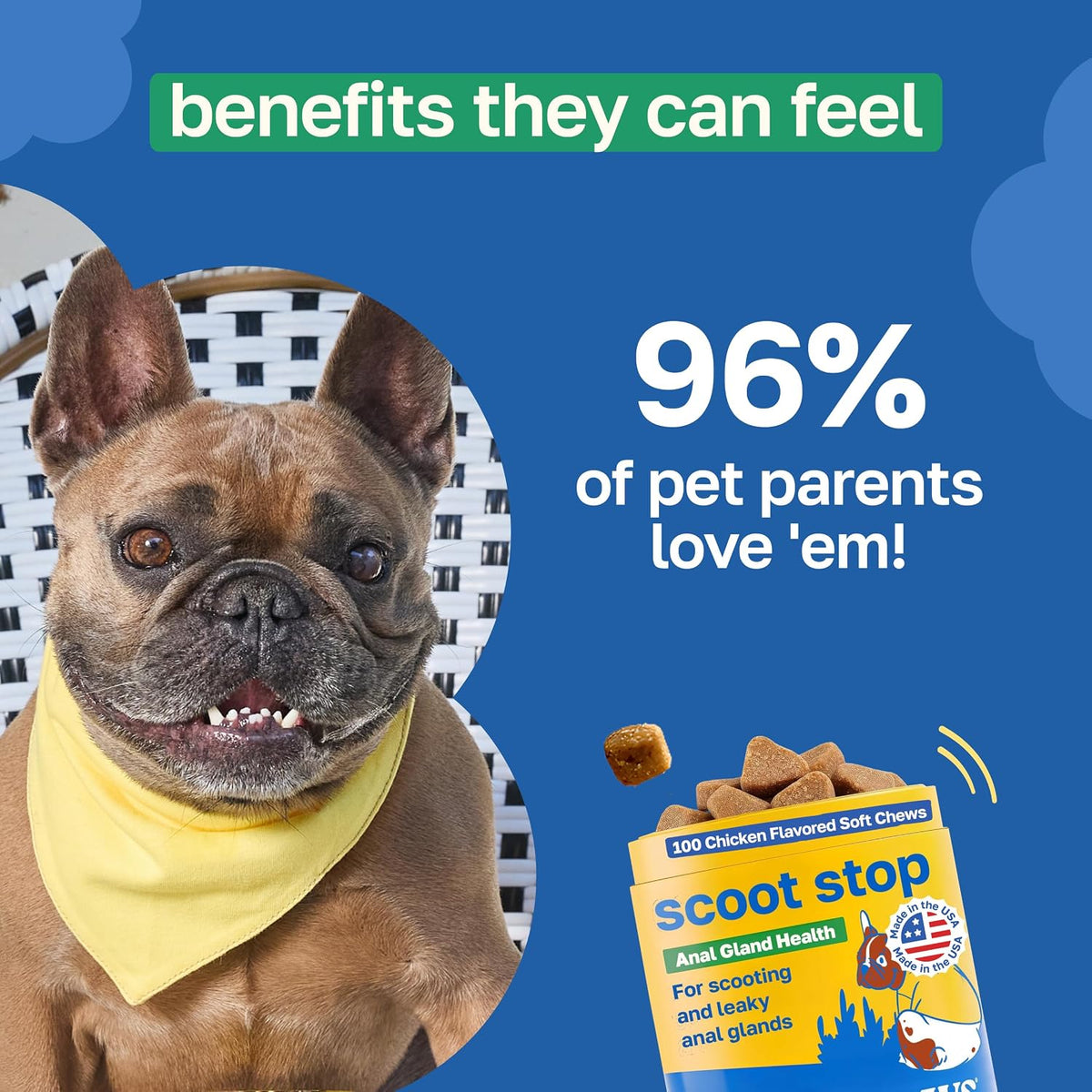 Happy Paws Scoot Stop Dog Chews, Anal Gland Support for Dogs, Soft Chews with Coconut Oil, Pumpkin, Sweet Potato & Sea Kelp for Healthy Digestion, Organic, Non-GMO, Vegan, Chicken Flavour, 200 Count - görsel 4